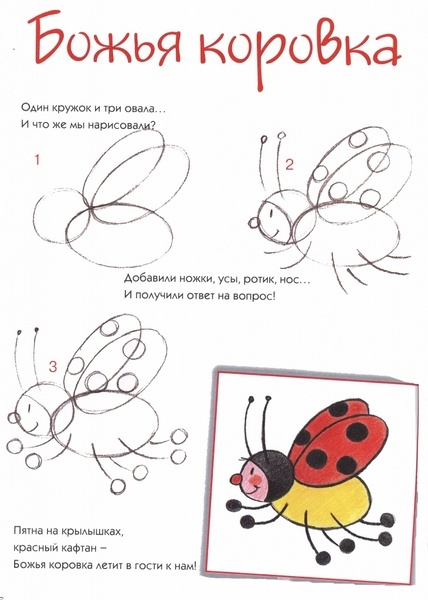 божья коровка.jpg божья коровка.jpg